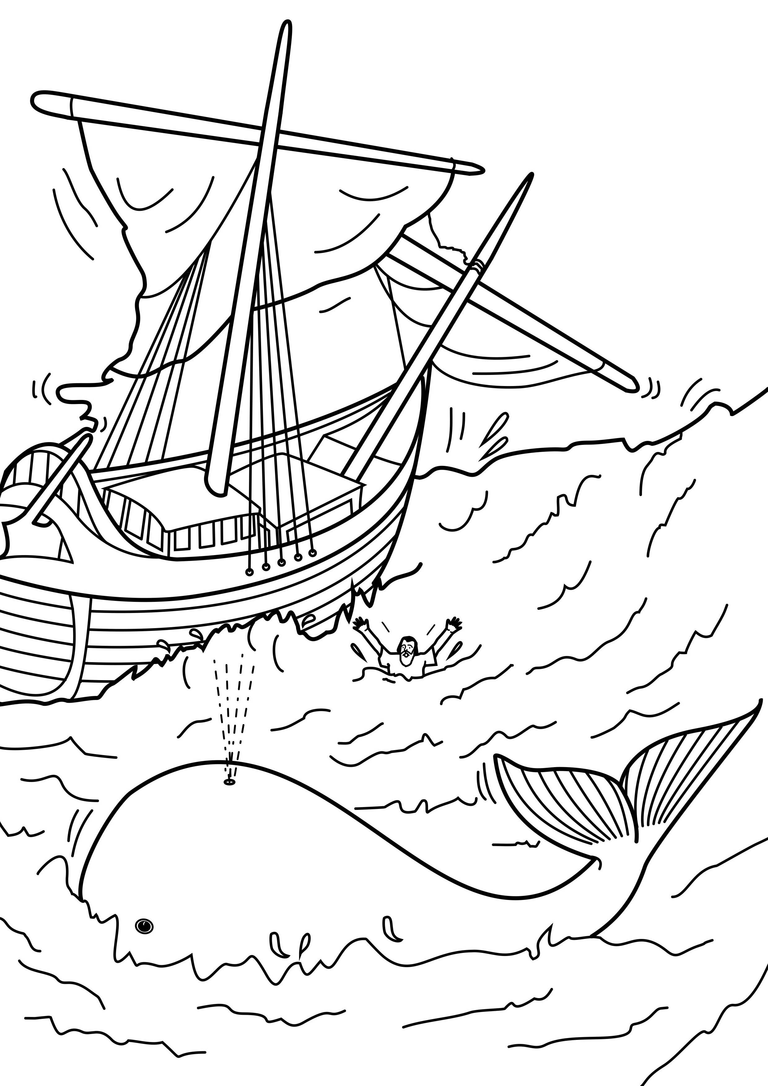 38 Whale Coloring Pages for Kids Printable 14