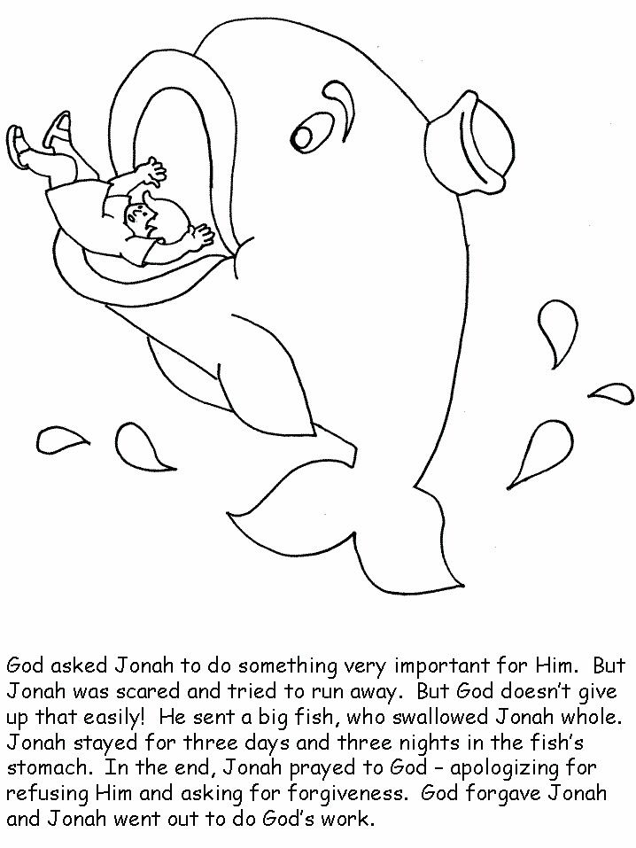 38 Whale Coloring Pages for Kids Printable 17