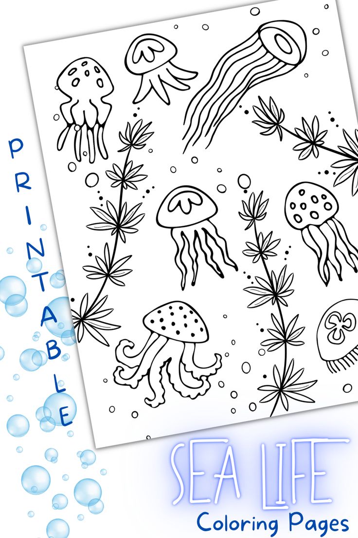 38 Whale Coloring Pages for Kids Printable 19