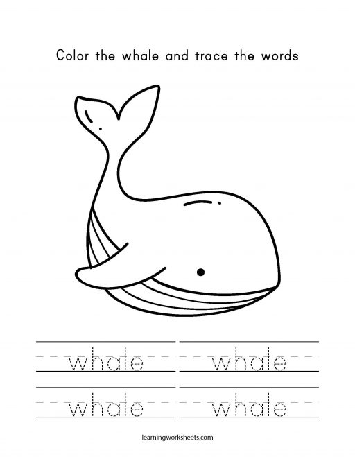 38 Whale Coloring Pages for Kids Printable 31