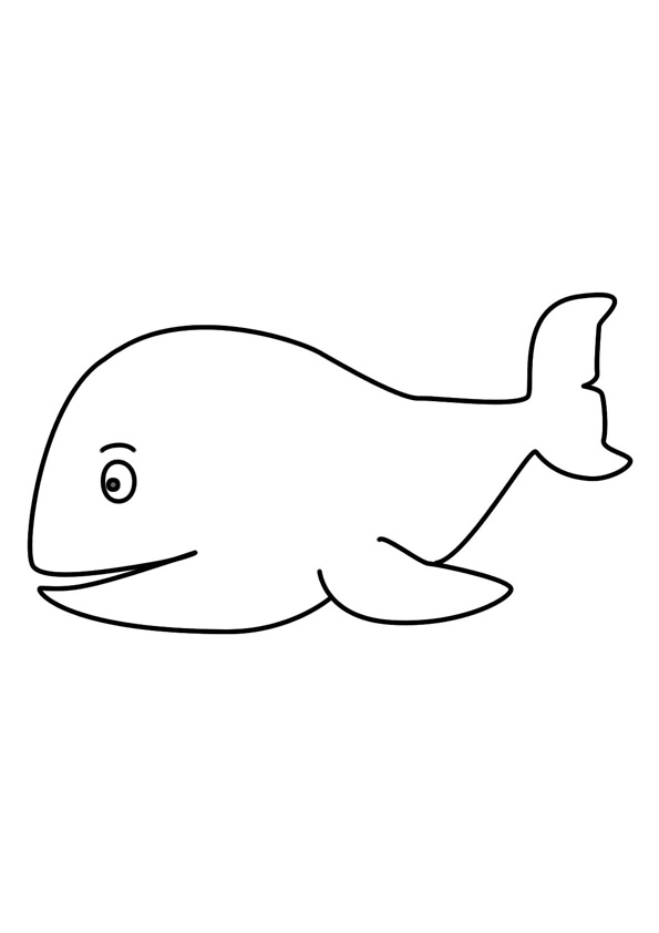 38 Whale Coloring Pages for Kids Printable 5