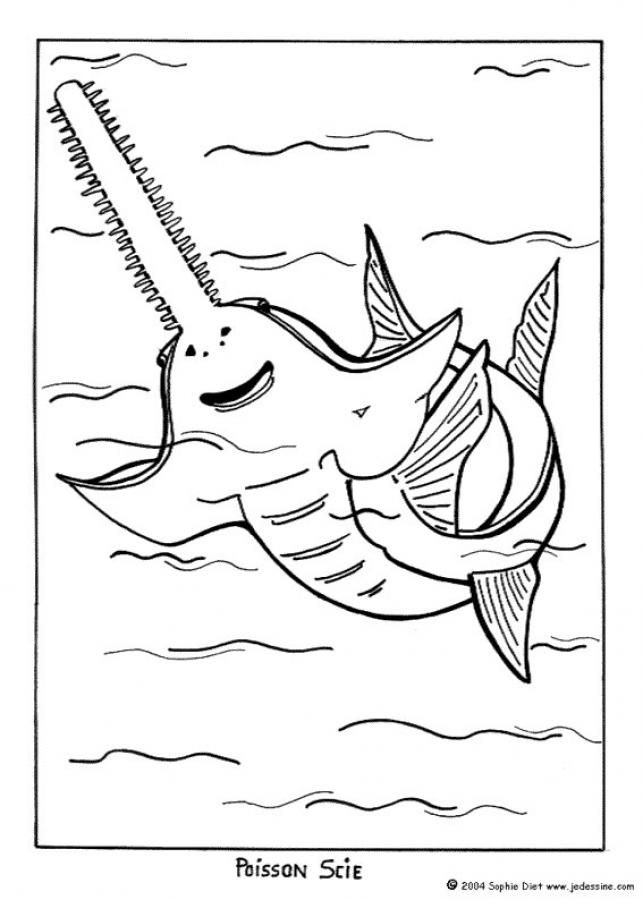 38 Whale Coloring Pages for Kids Printable 9