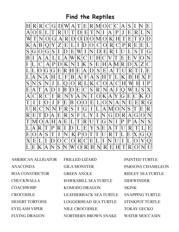 38 Word Search Games for Adults and Teens 6