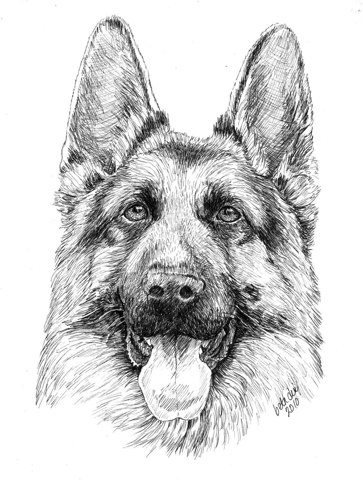 39 German Shepherd Coloring Pages Printable 1