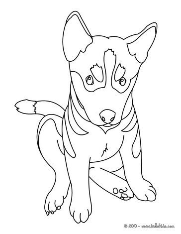 39 German Shepherd Coloring Pages Printable 12