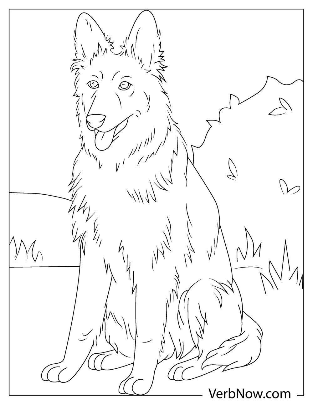 39 German Shepherd Coloring Pages Printable 19