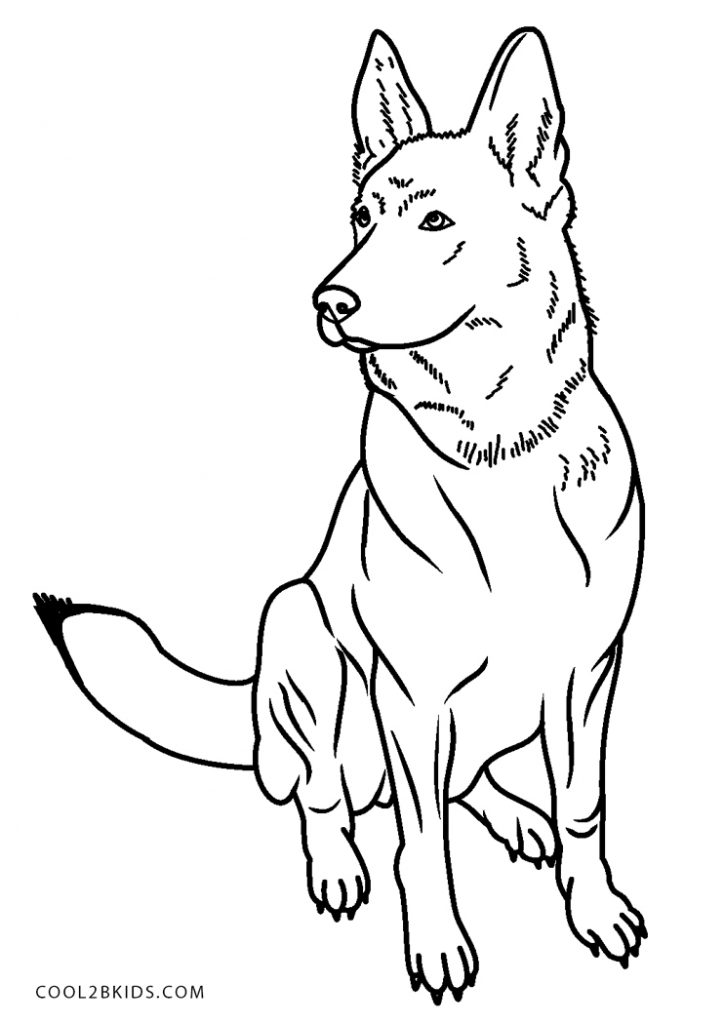 39 German Shepherd Coloring Pages Printable 26