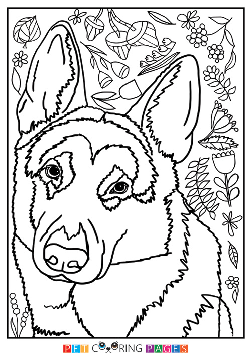 39 German Shepherd Coloring Pages Printable 31