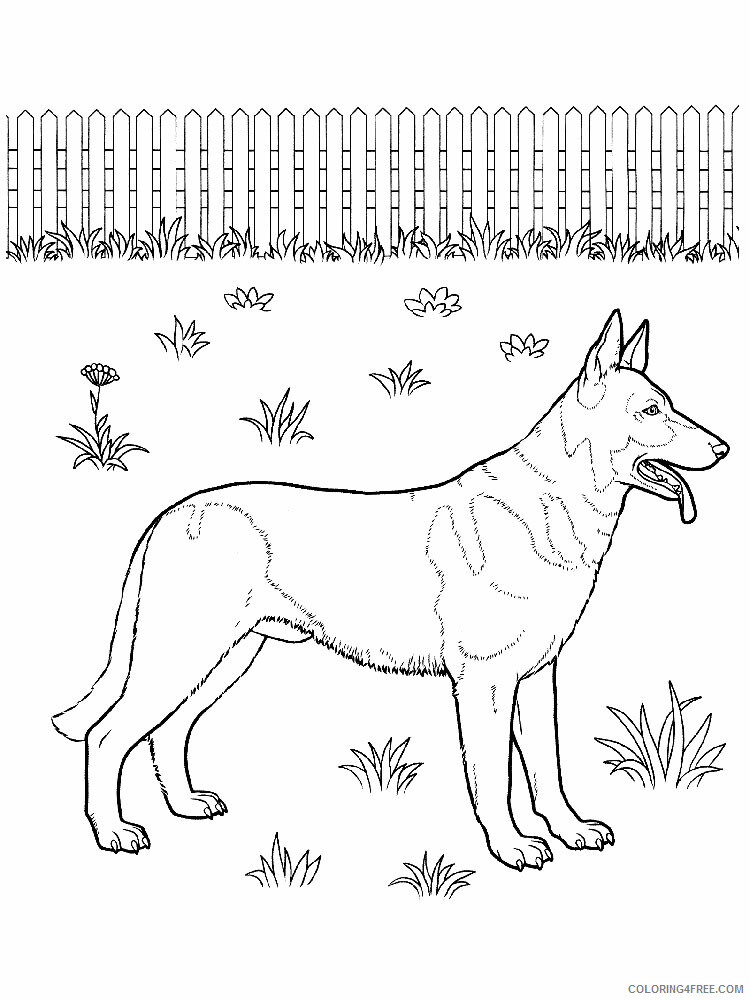 39 German Shepherd Coloring Pages Printable 34