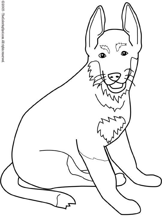 39 German Shepherd Coloring Pages Printable 7