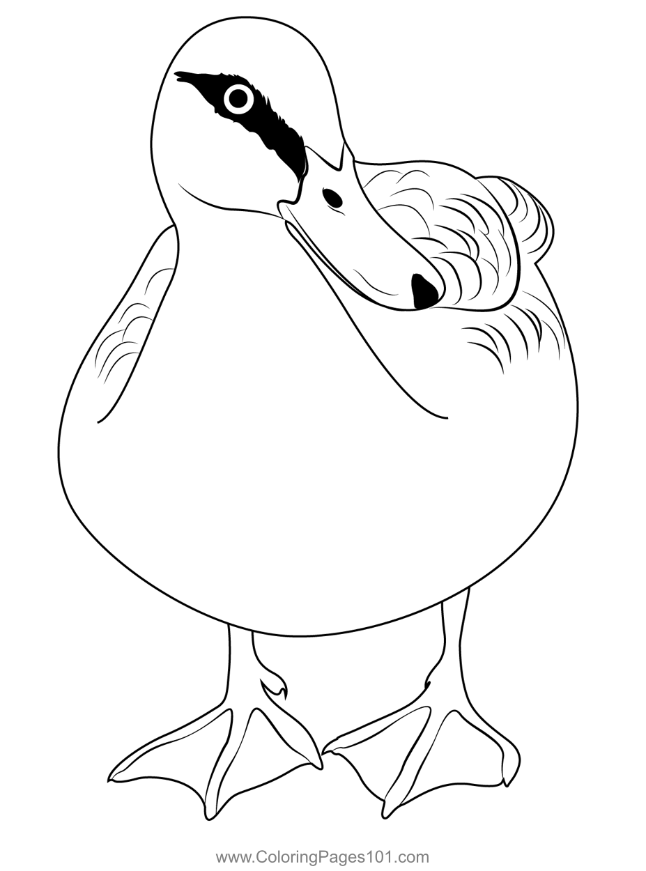 30 Cartoon Duck Coloring Pages Printable 16