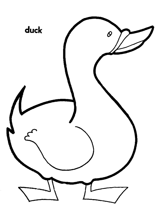 30 Cartoon Duck Coloring Pages Printable 21