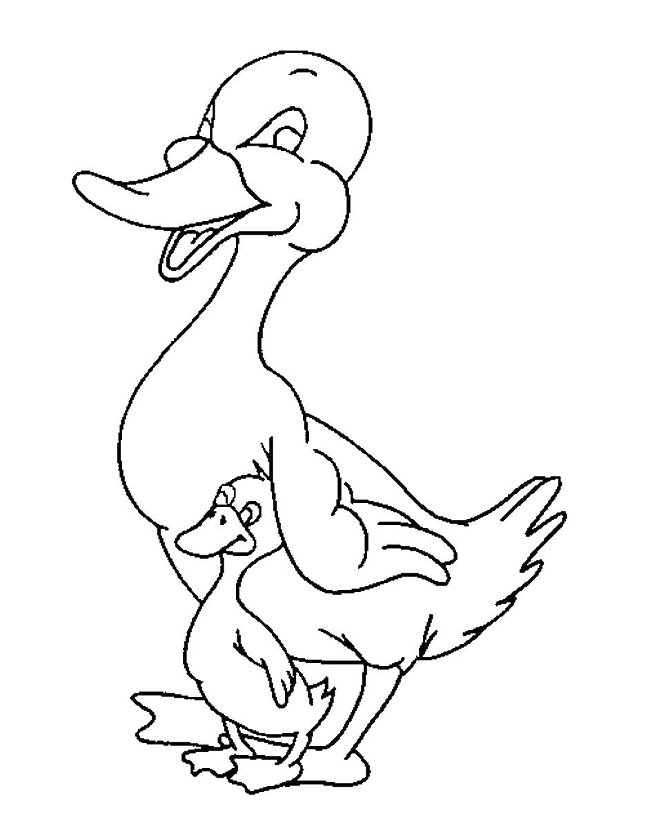 30 Cartoon Duck Coloring Pages Printable 3