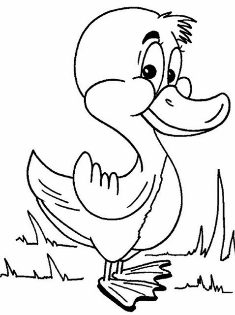 30 Cartoon Duck Coloring Pages Printable 33