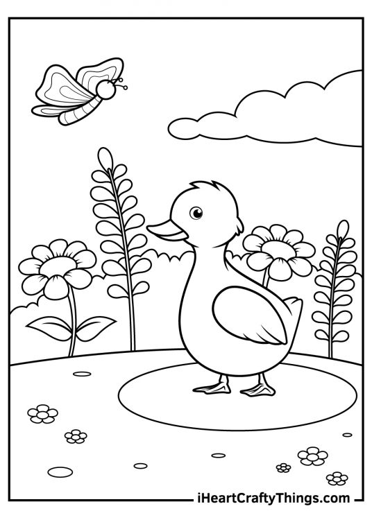 30 Cartoon Duck Coloring Pages Printable 6