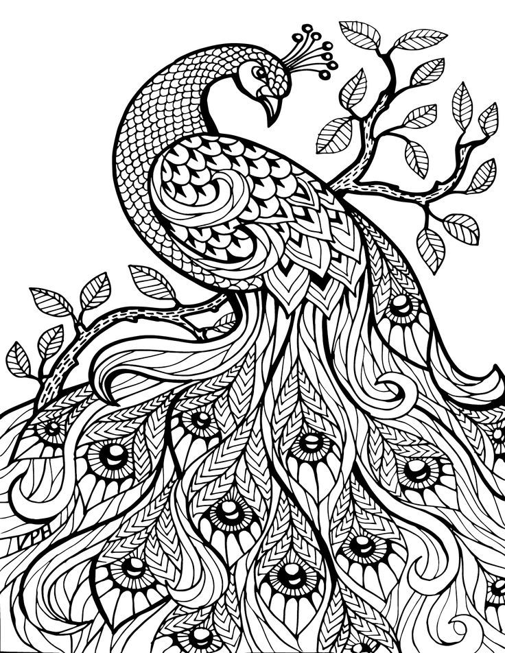 30 Classic Art Coloring Pages Printable 15