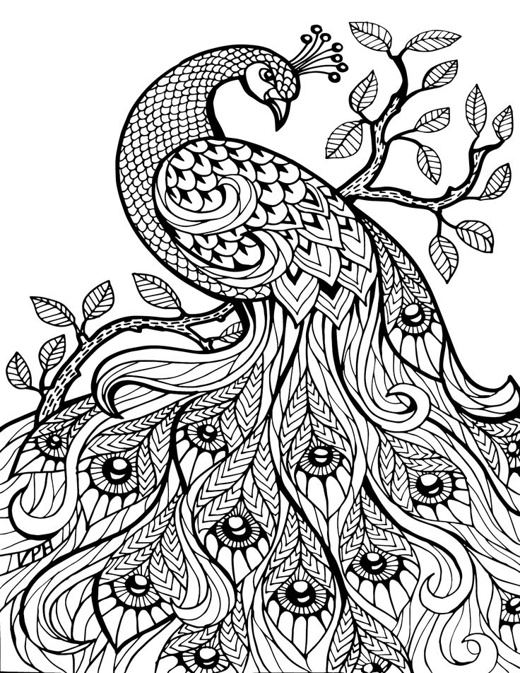 30 Classic Art Coloring Pages Printable 30