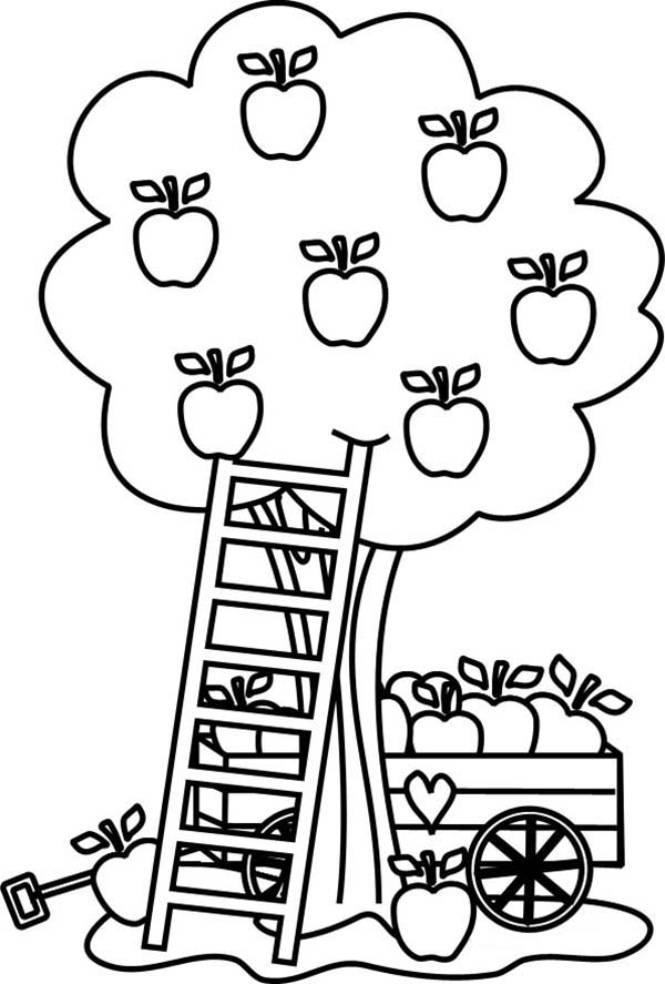 32 Apple Cider Coloring Pages Fun Printable 5