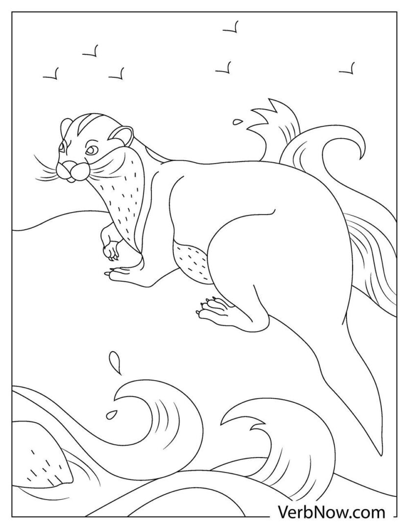 1+ Realistic Otter Coloring Pages Printable