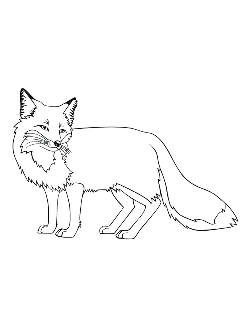 11+ Interactive Fox Coloring Pages Printable