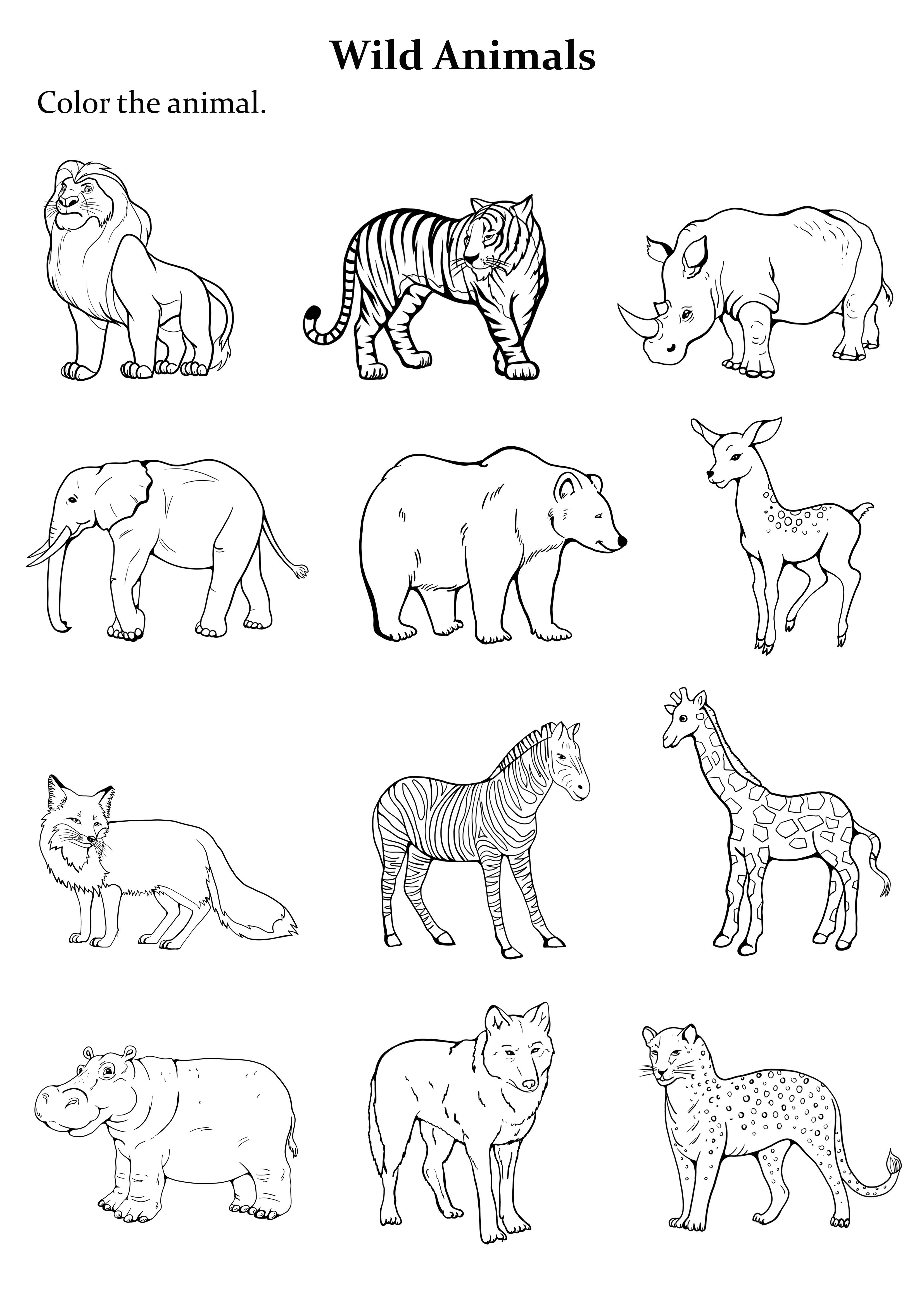 42+ Creative Animal Coloring Pages for Educational