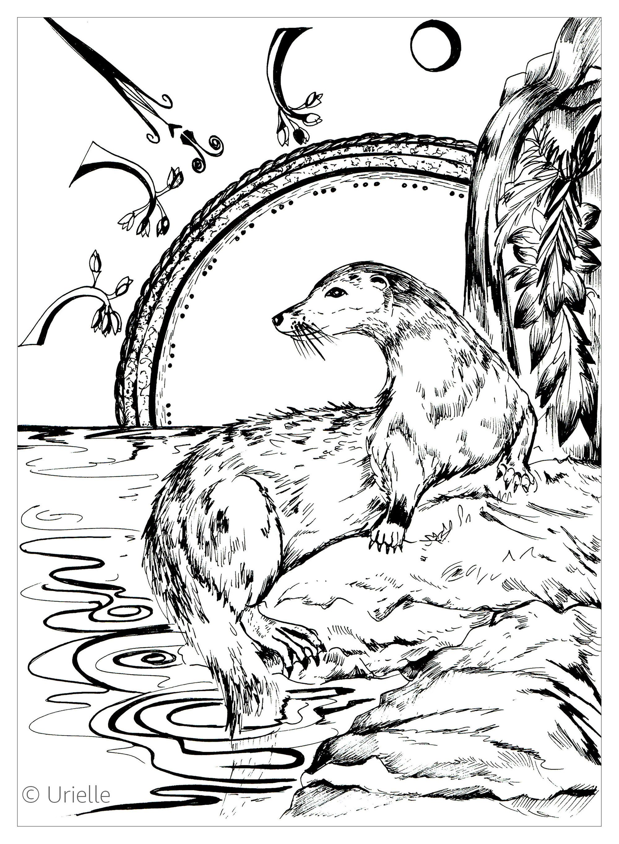 16+ Amazing Otter Coloring Pages Printable