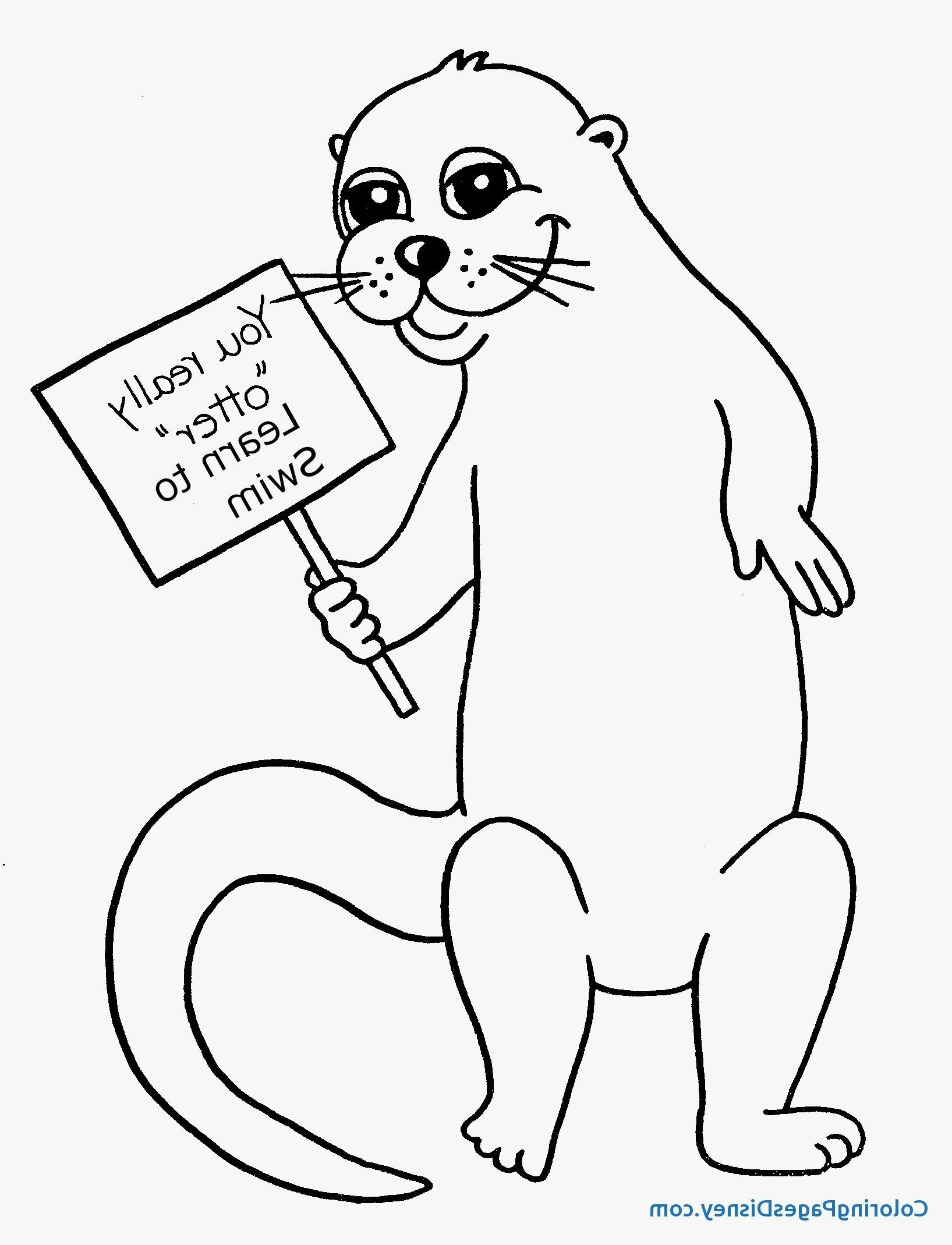 20+ Cute Otter Coloring Pages Printable