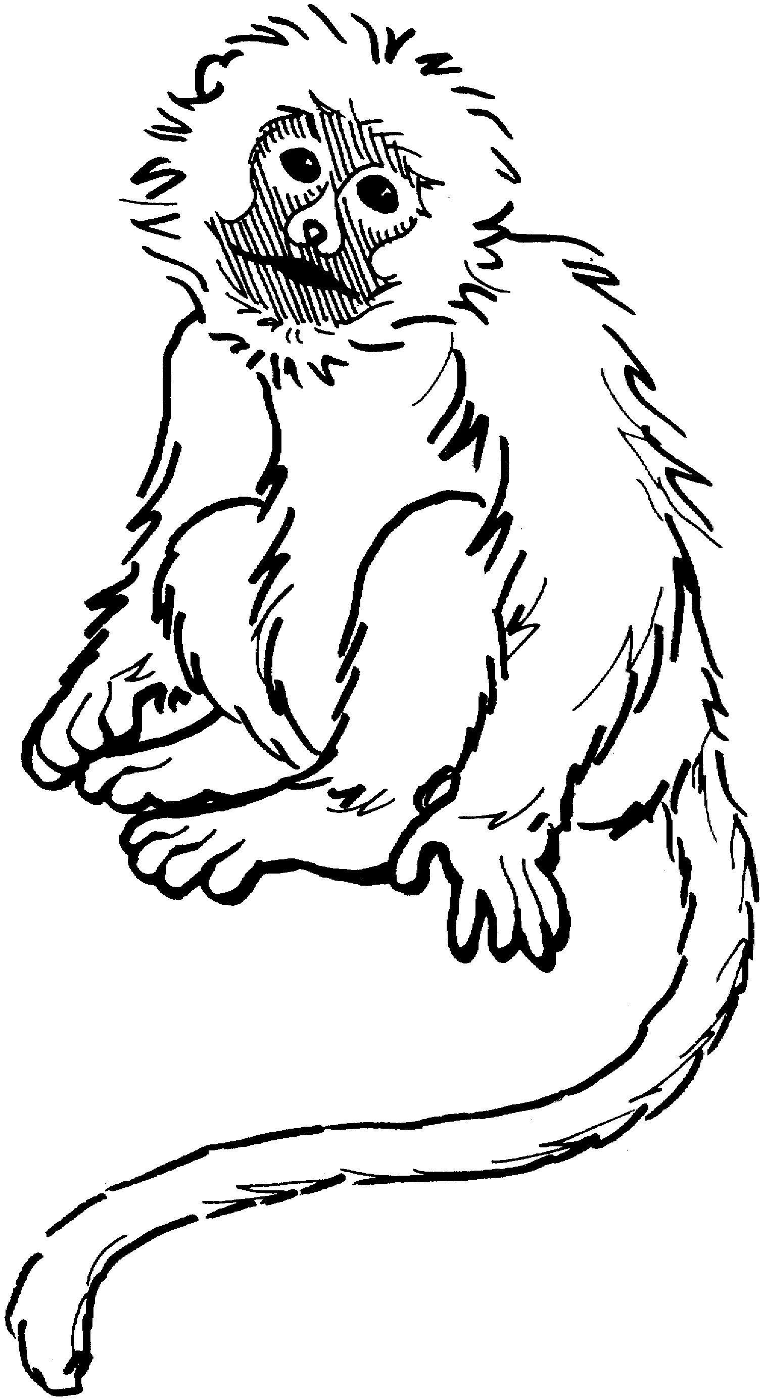 33+ The Best Monkey Coloring Pages Free Printable