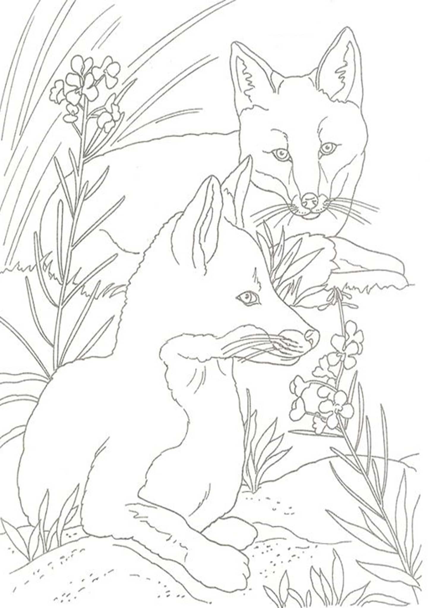 23+ Adorable Fox Coloring Pages Printable