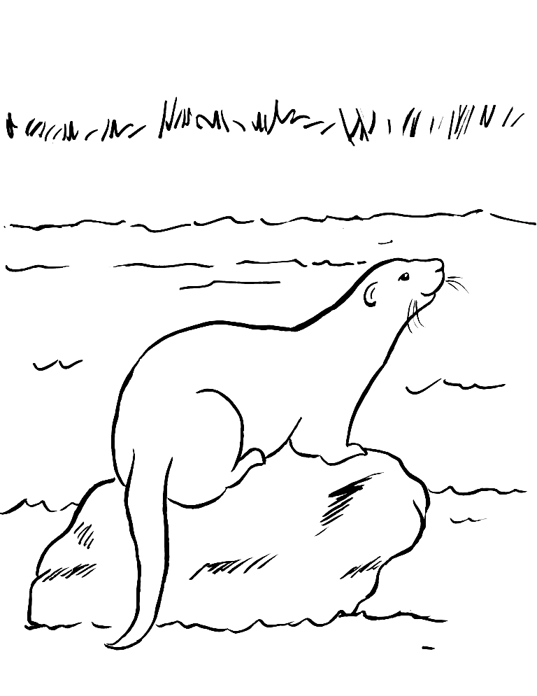 23+ New Otter Coloring Pages Printable