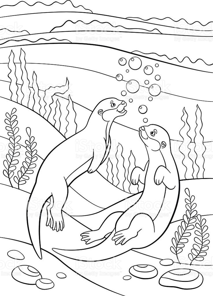 25+ Entertaining Otter Coloring Pages Printable