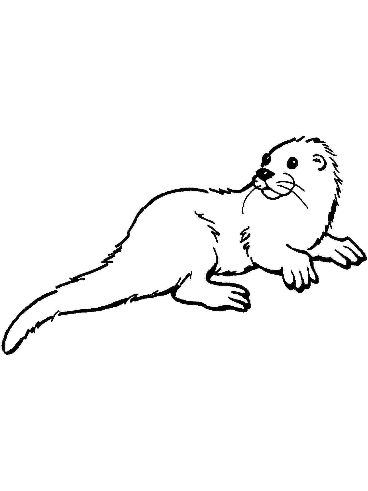 31+ New Otter Coloring Pages Printable