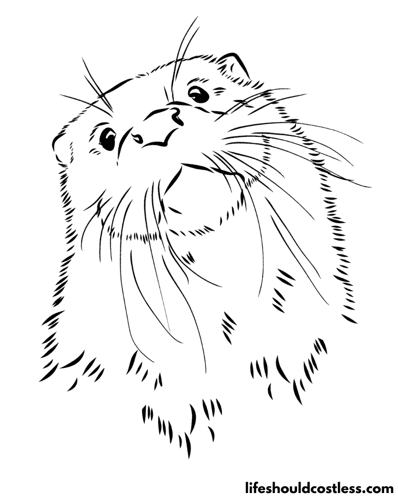 33+ Amazing Otter Coloring Pages Printable