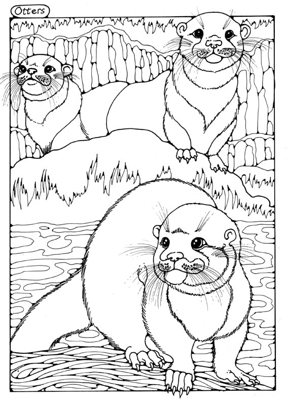 35+ Top Otter Coloring Pages Printable