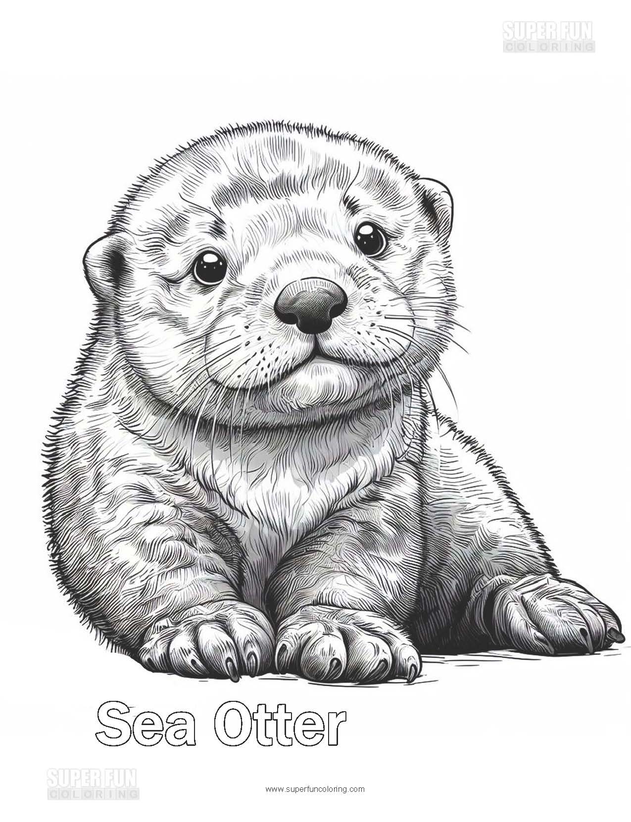 39+ Amazing Otter Coloring Pages Printable