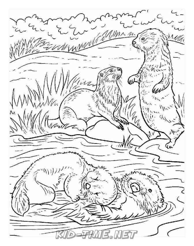 4+ Adorable Otter Coloring Pages Printable