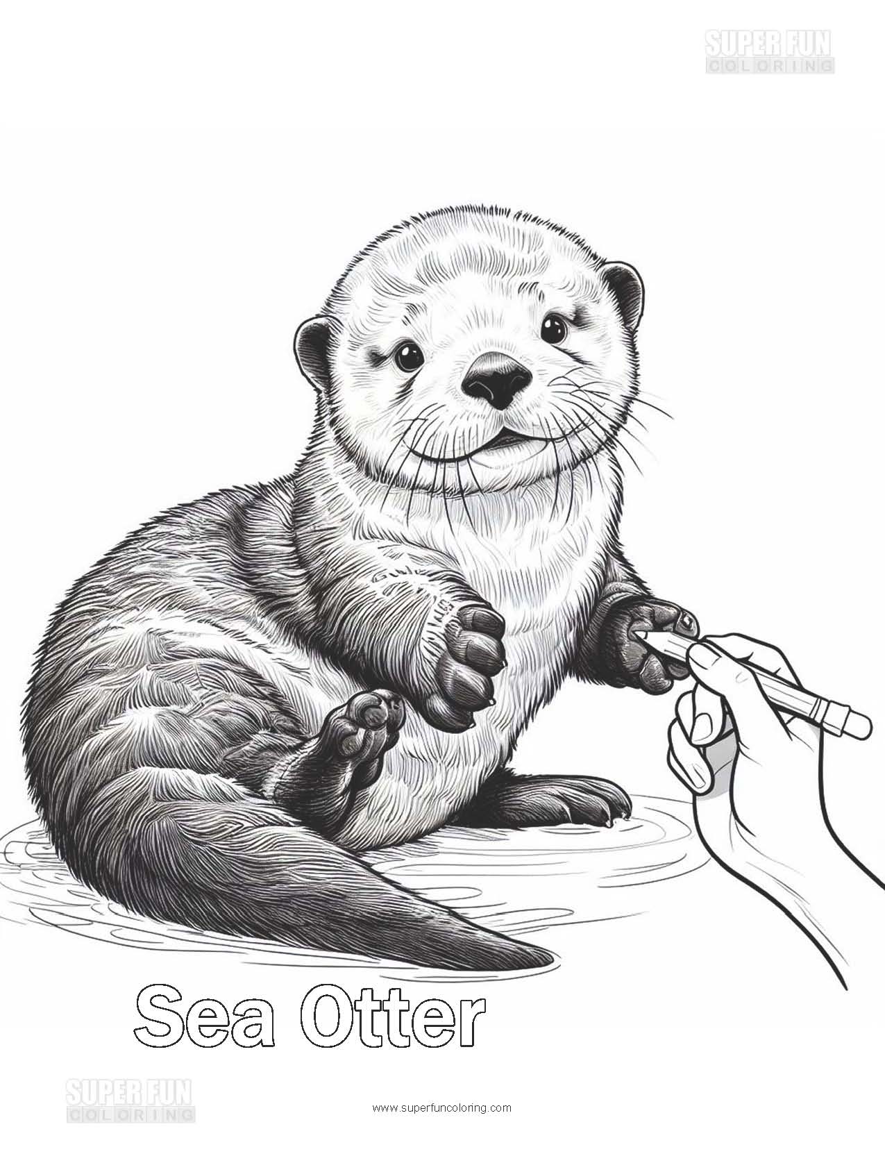 41+ Realistic Otter Coloring Pages Printable