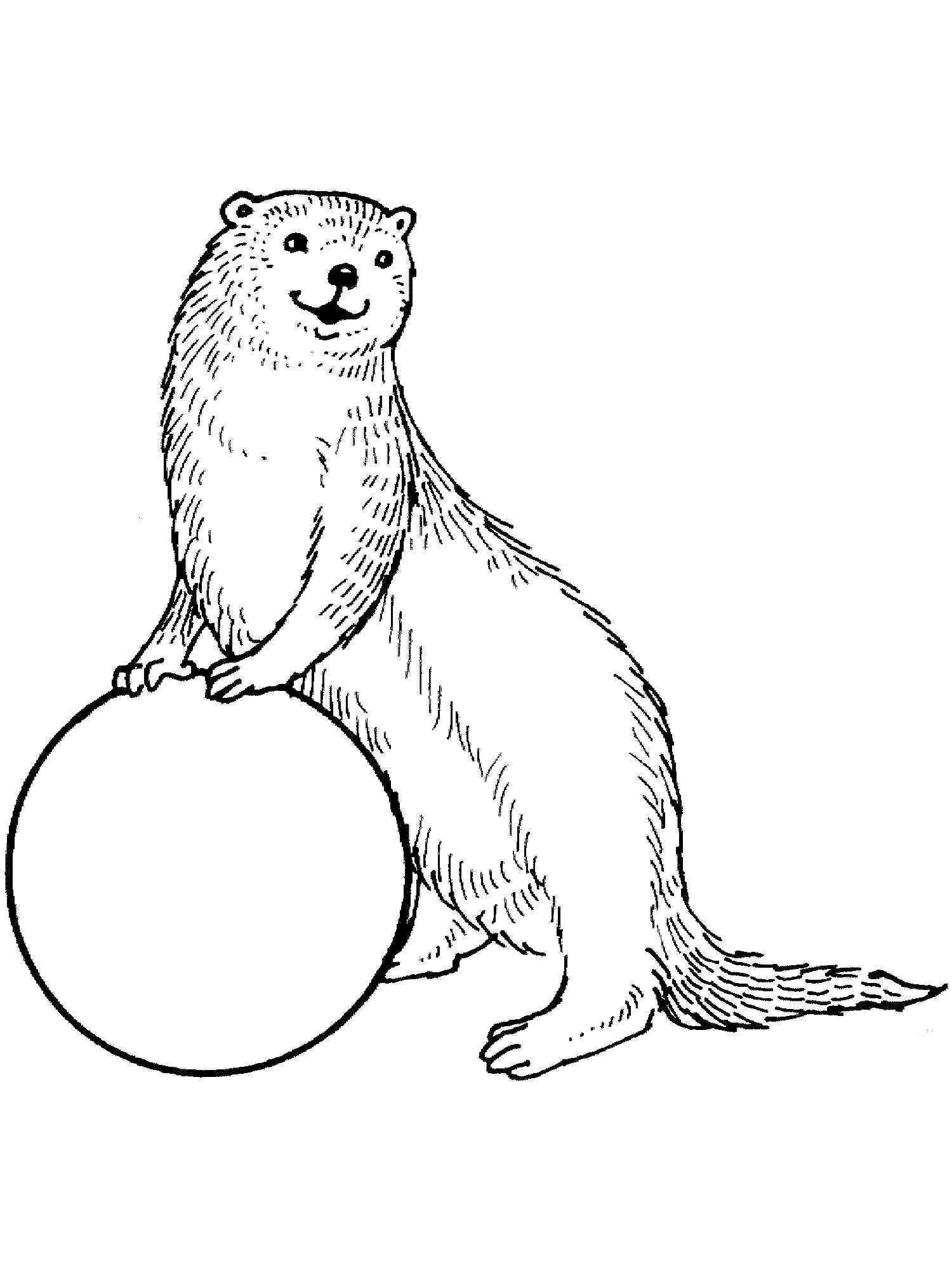 44+ Unique Otter Coloring Pages Printable