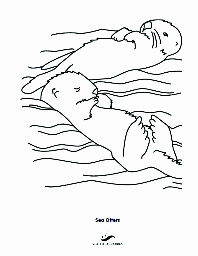 45+ Aesthetic Otter Coloring Pages Printable