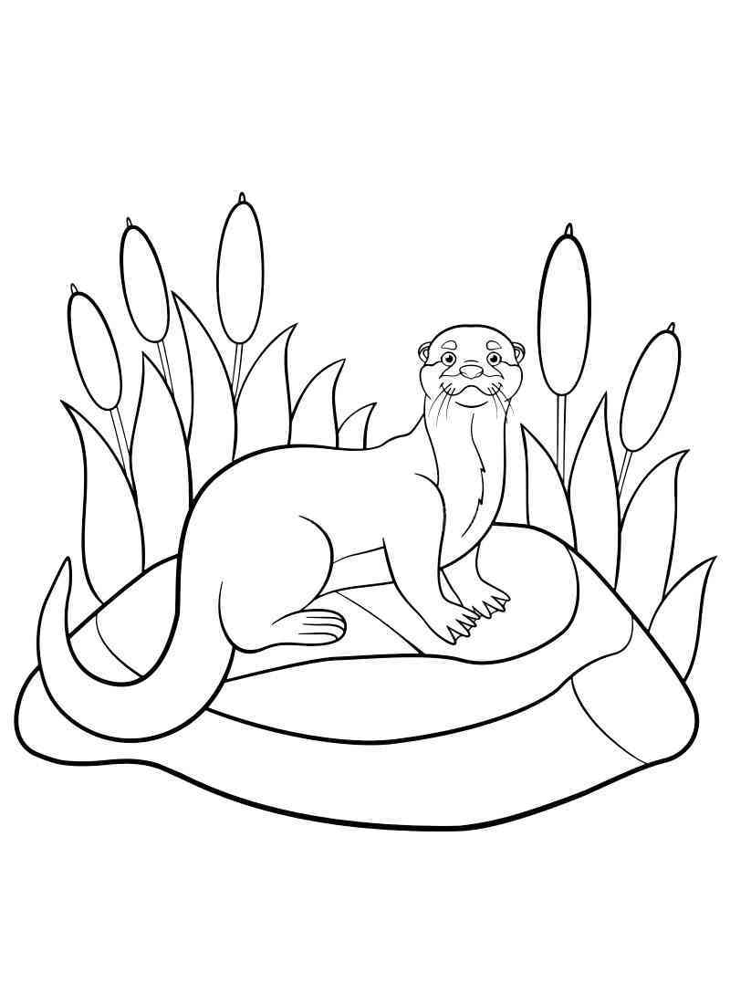 45+ Amazing Otter Coloring Pages Printable