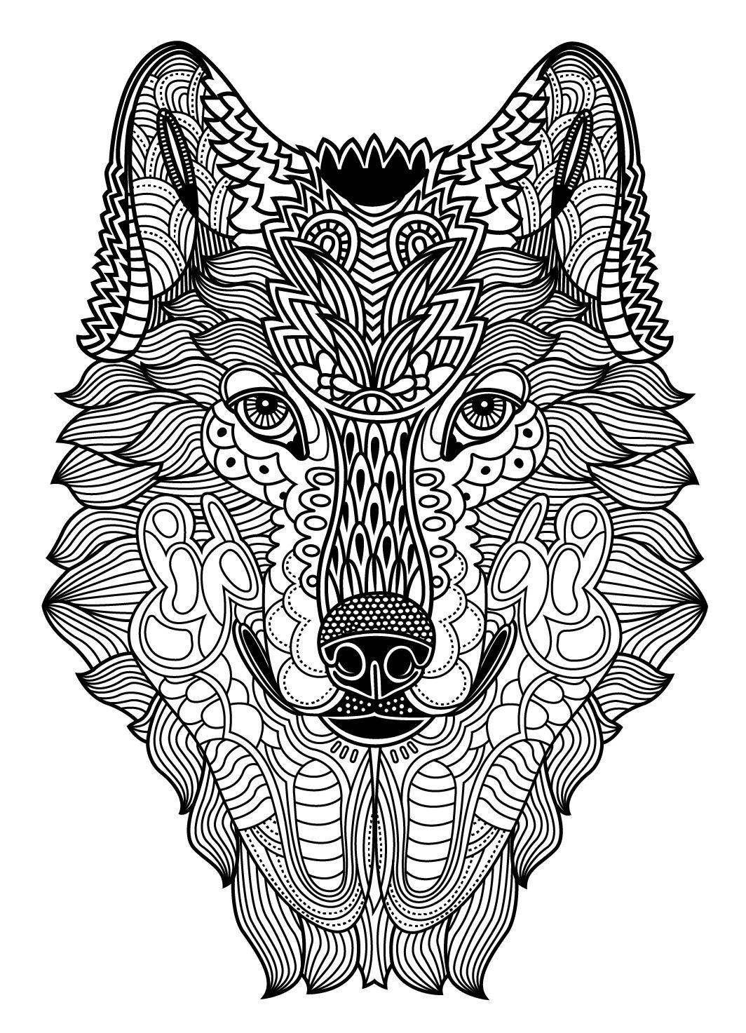 44+ Funtastic Animal Coloring Pages Cute