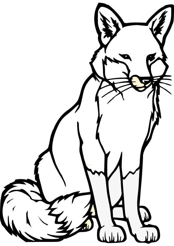 50+ Lovely Fox Coloring Pages Printable