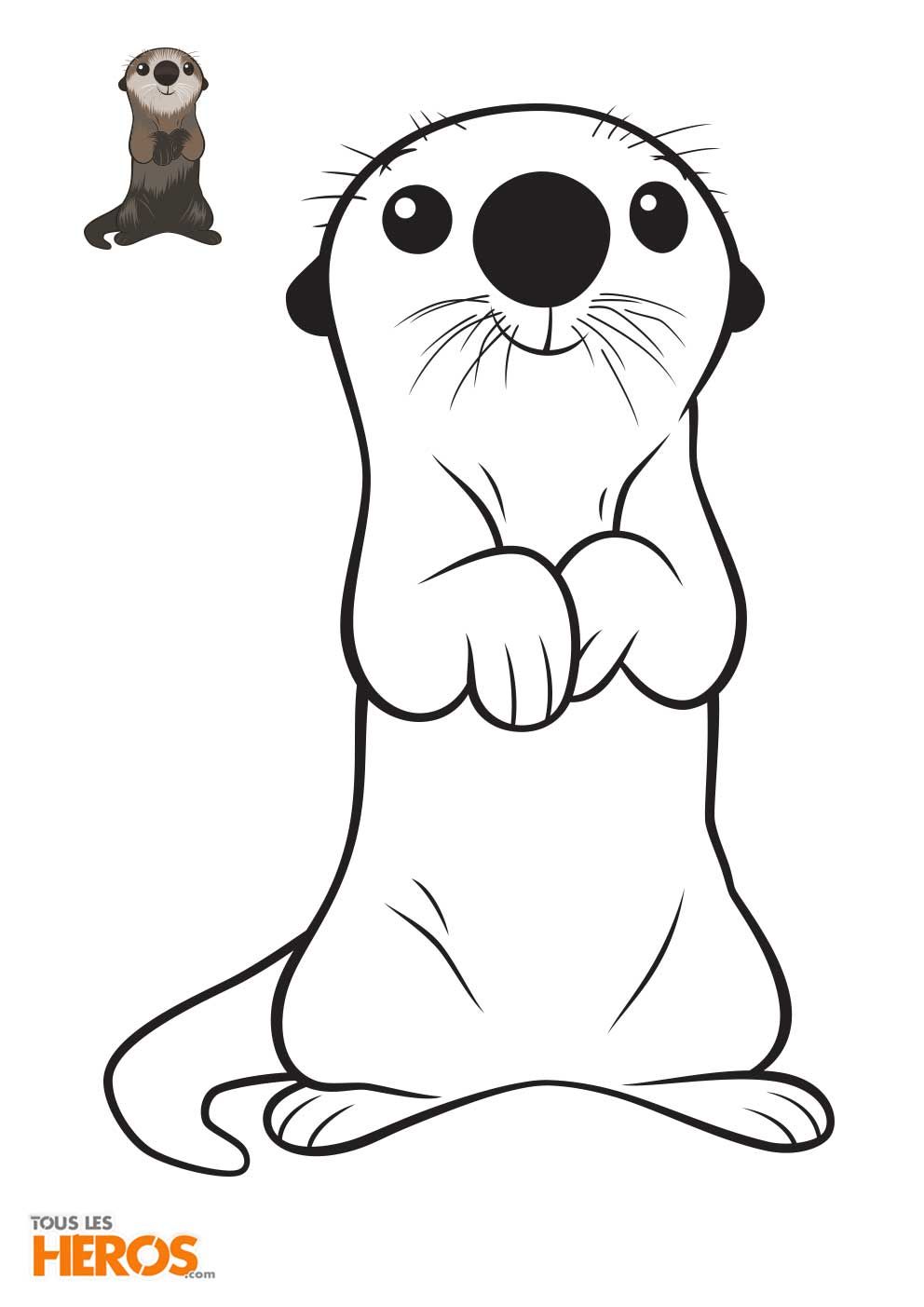 52+ Colorful Otter Coloring Pages Printable