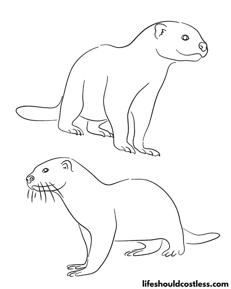 57+ Colorful Otter Coloring Pages Printable