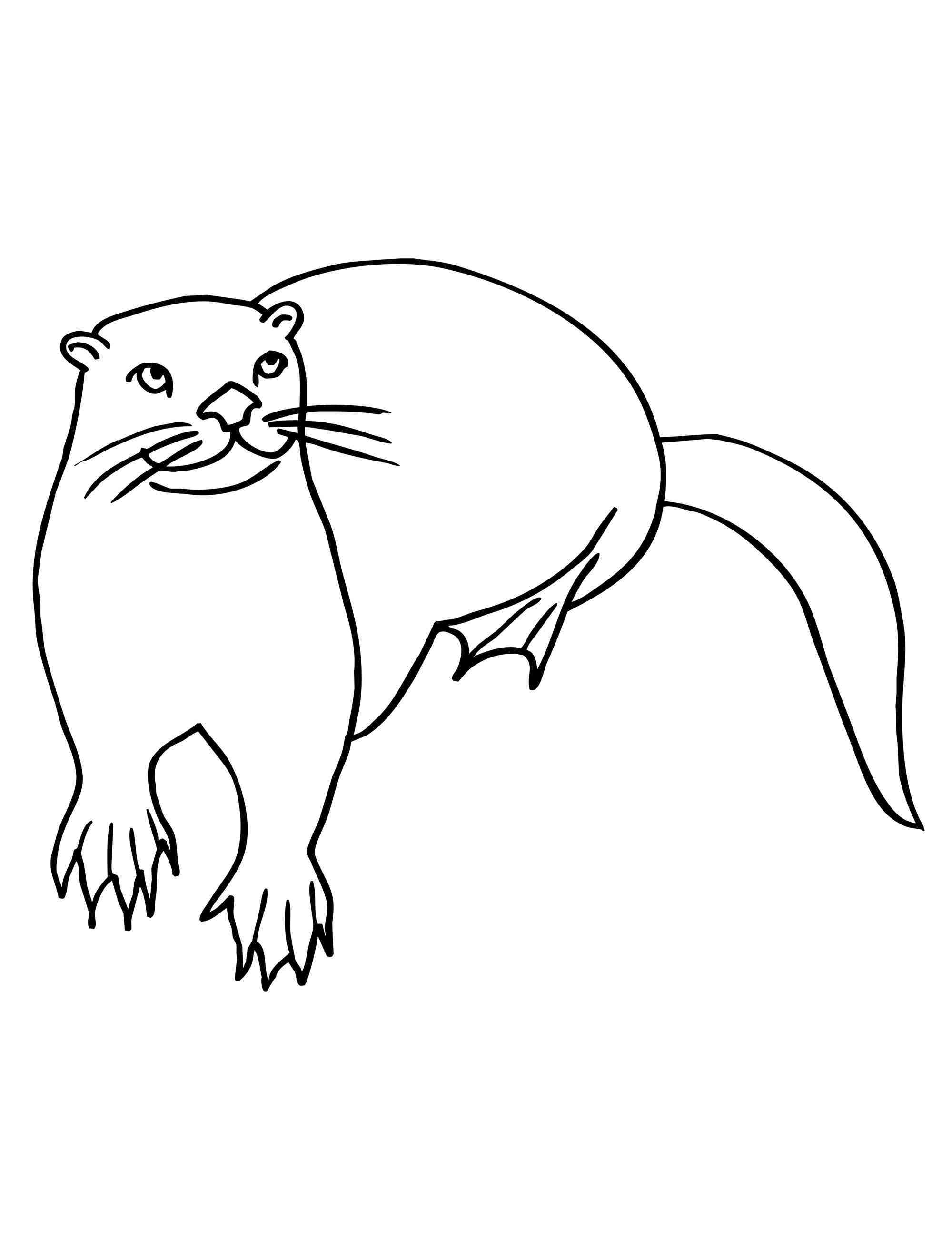 59+ Free Otter Coloring Pages Printable