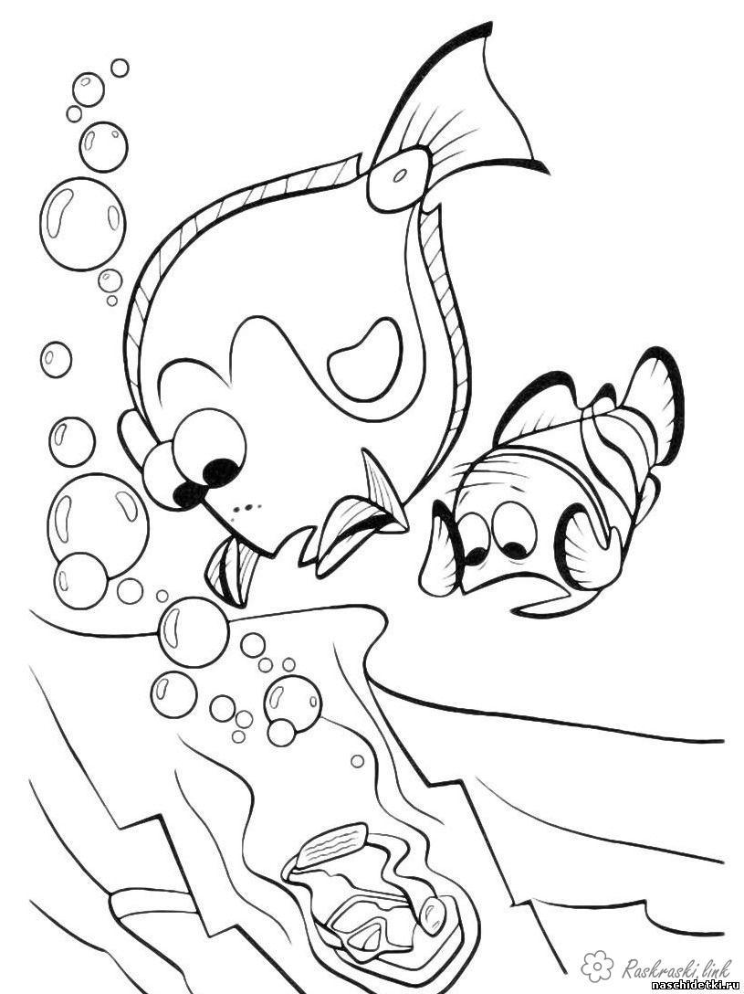 46+ Colorful Nemo Coloring Pages Unique