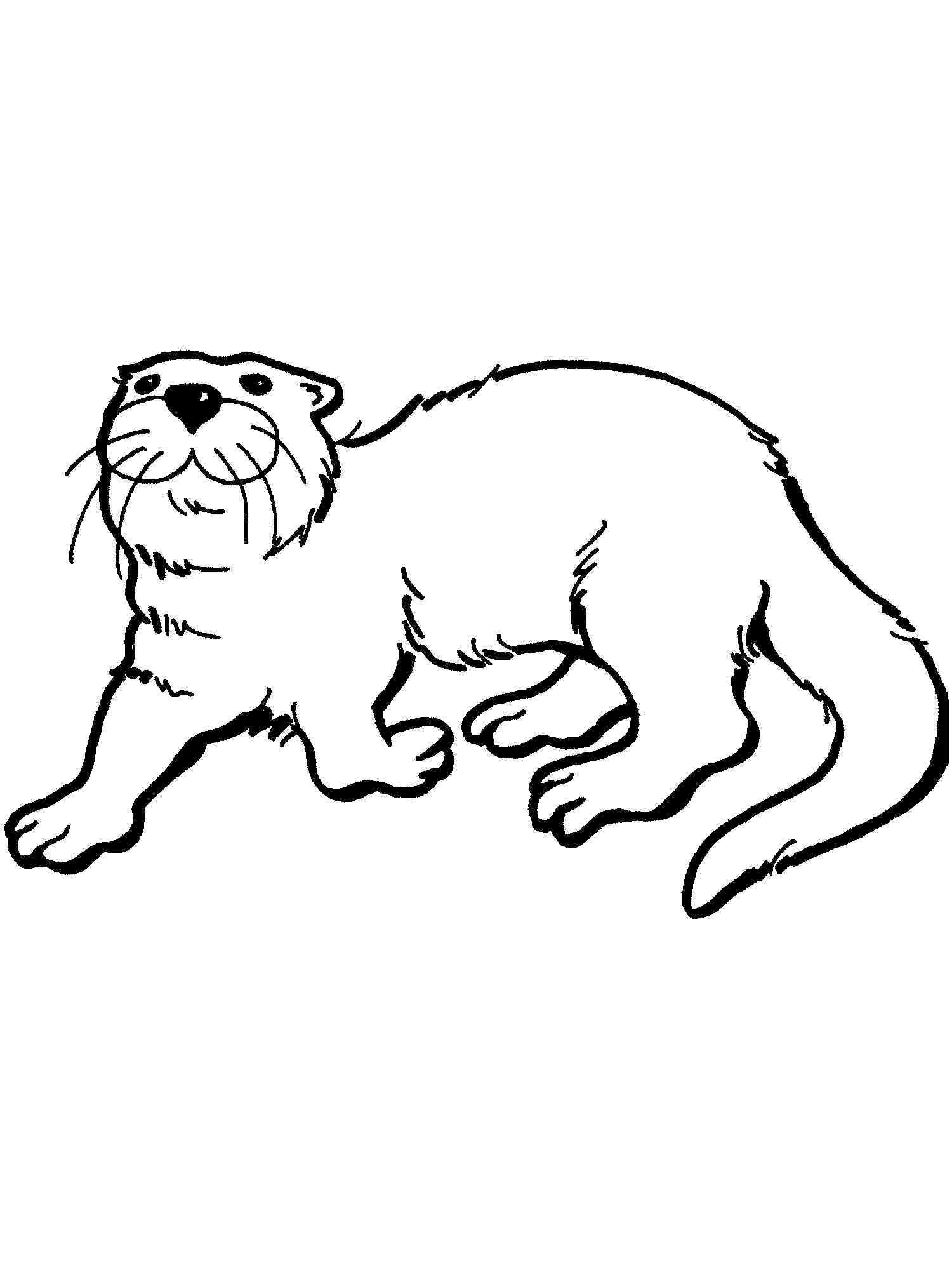 64+ The Best Otter Coloring Pages Printable