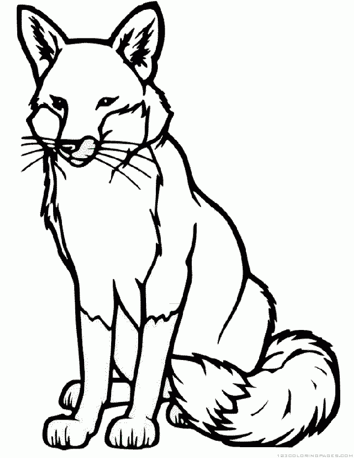 65+ Simple Fox Coloring Pages Printable