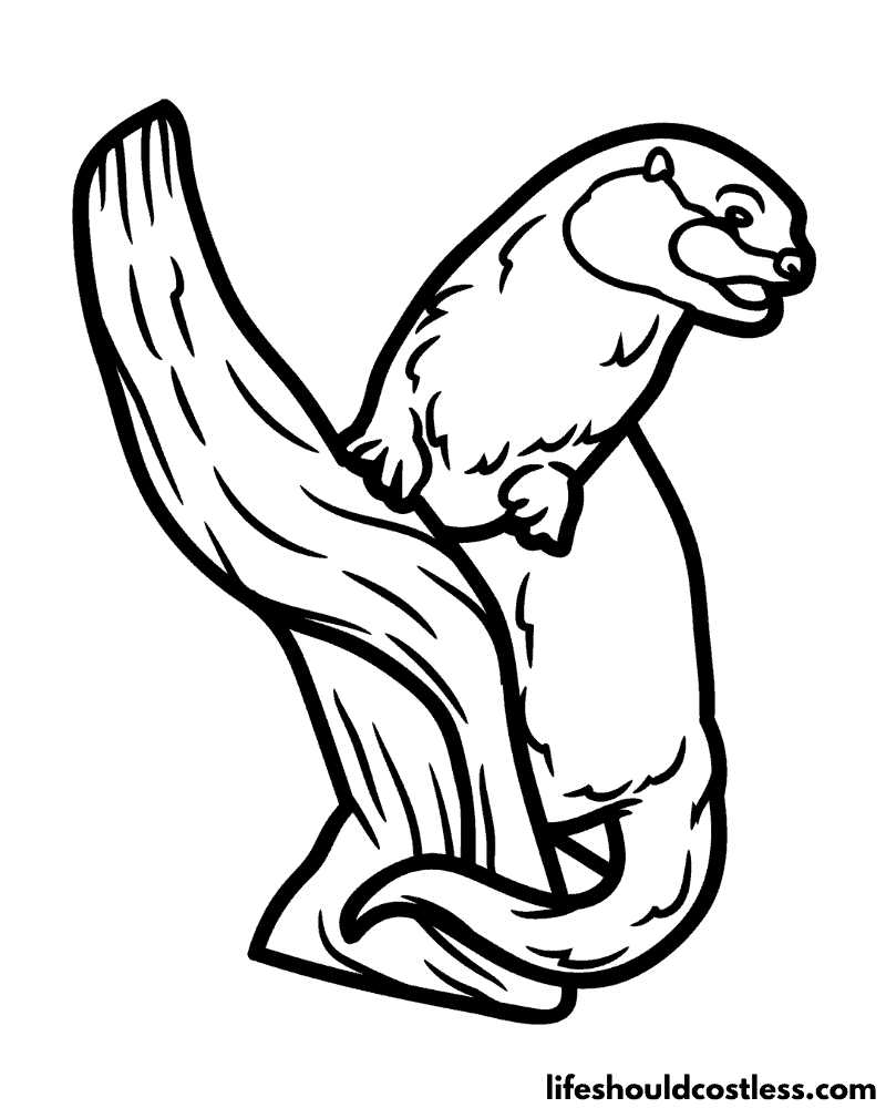 66+ Cute Otter Coloring Pages Printable