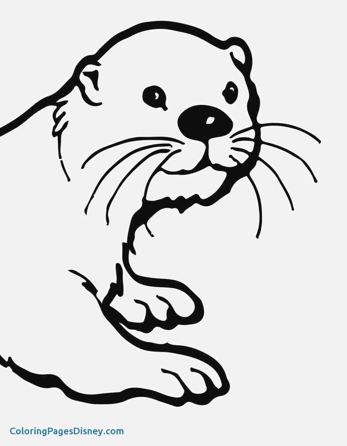 67+ Simple Otter Coloring Pages Printable